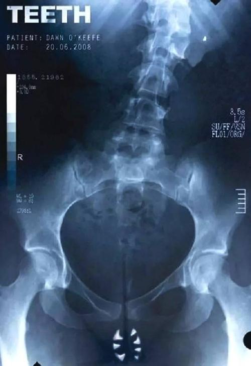 西弗吉尼亚州驾驶证哪里能买到